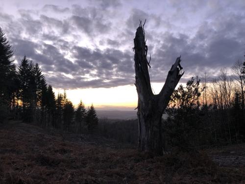 Château de la Faye [19-02-2022](IMG_4459).jpg
